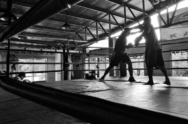 Los mejores campos de entrenamiento de MMA para mejorar tus habilidades de combate