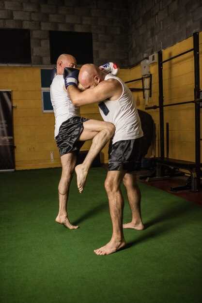 Qué es la lucha MMA y sus principales características y reglas