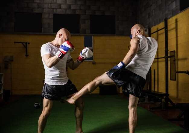 Las artes marciales más destacadas en las MMA y su influencia