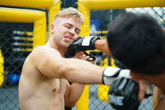 Qué es EFC MMA y su impacto en las artes marciales mixtas
