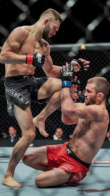 Prácticas y técnicas fundamentales en las artes marciales mixtas MMA